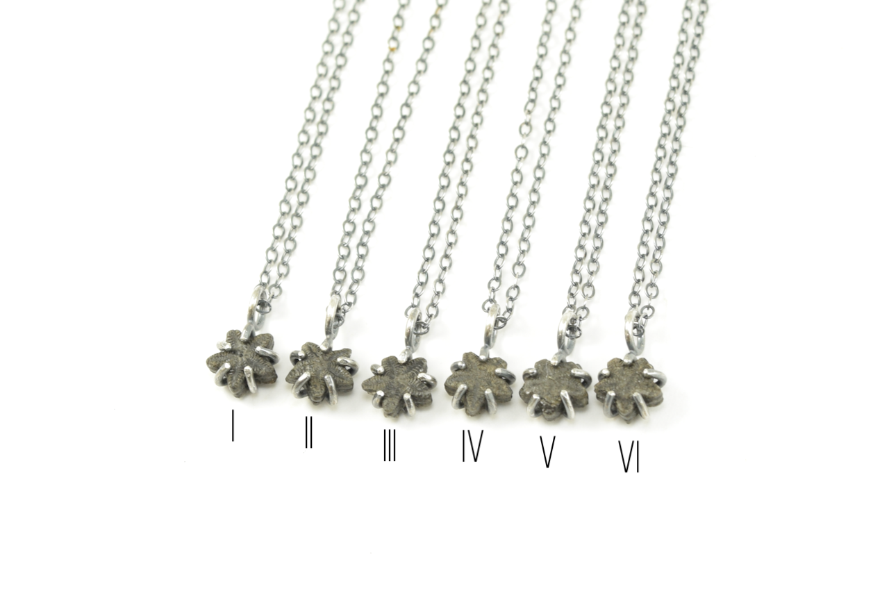 Black Crinoid Star Necklaces June 2026 (1) copy.png