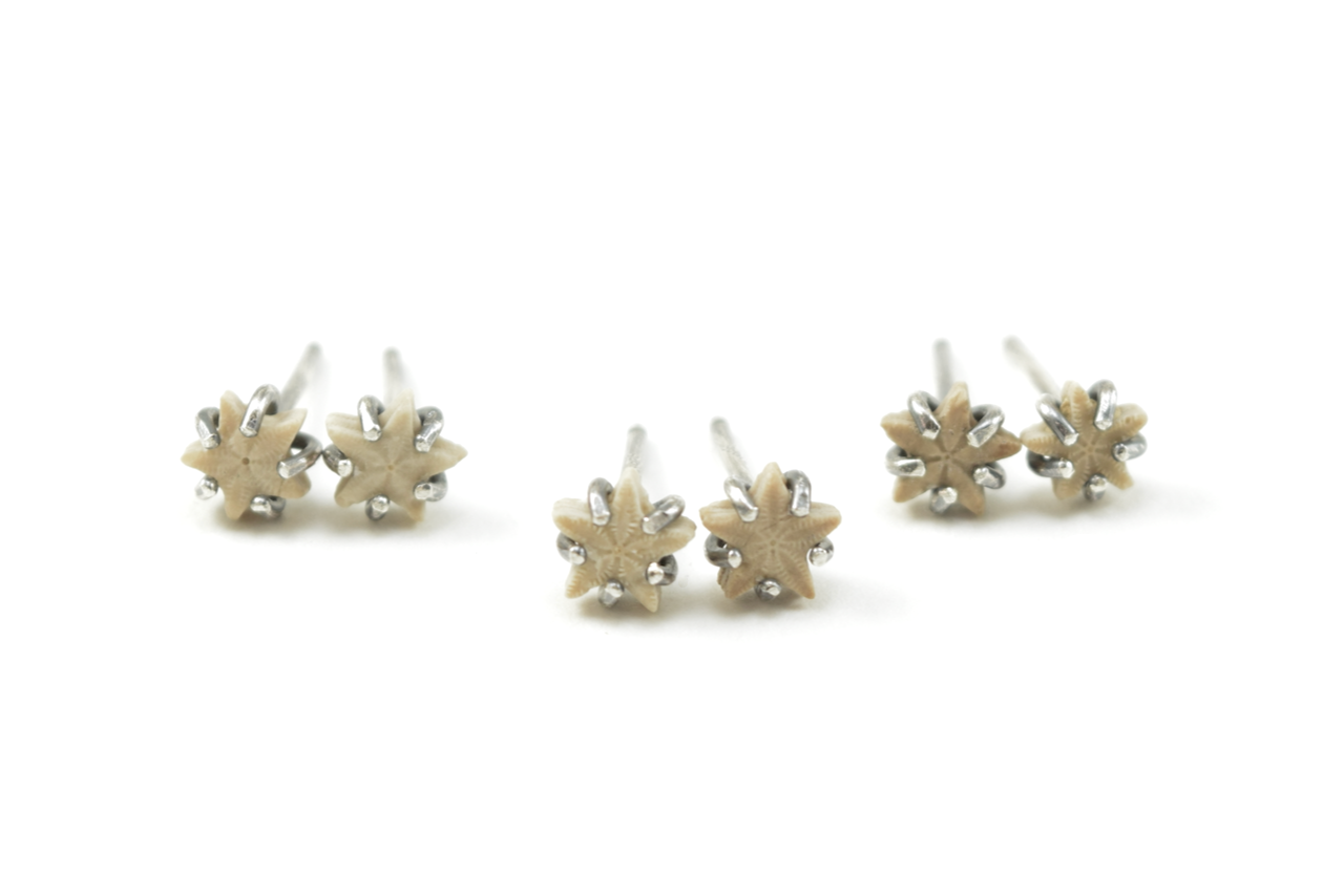 Light Crinoid Star Earrings June 2026.png