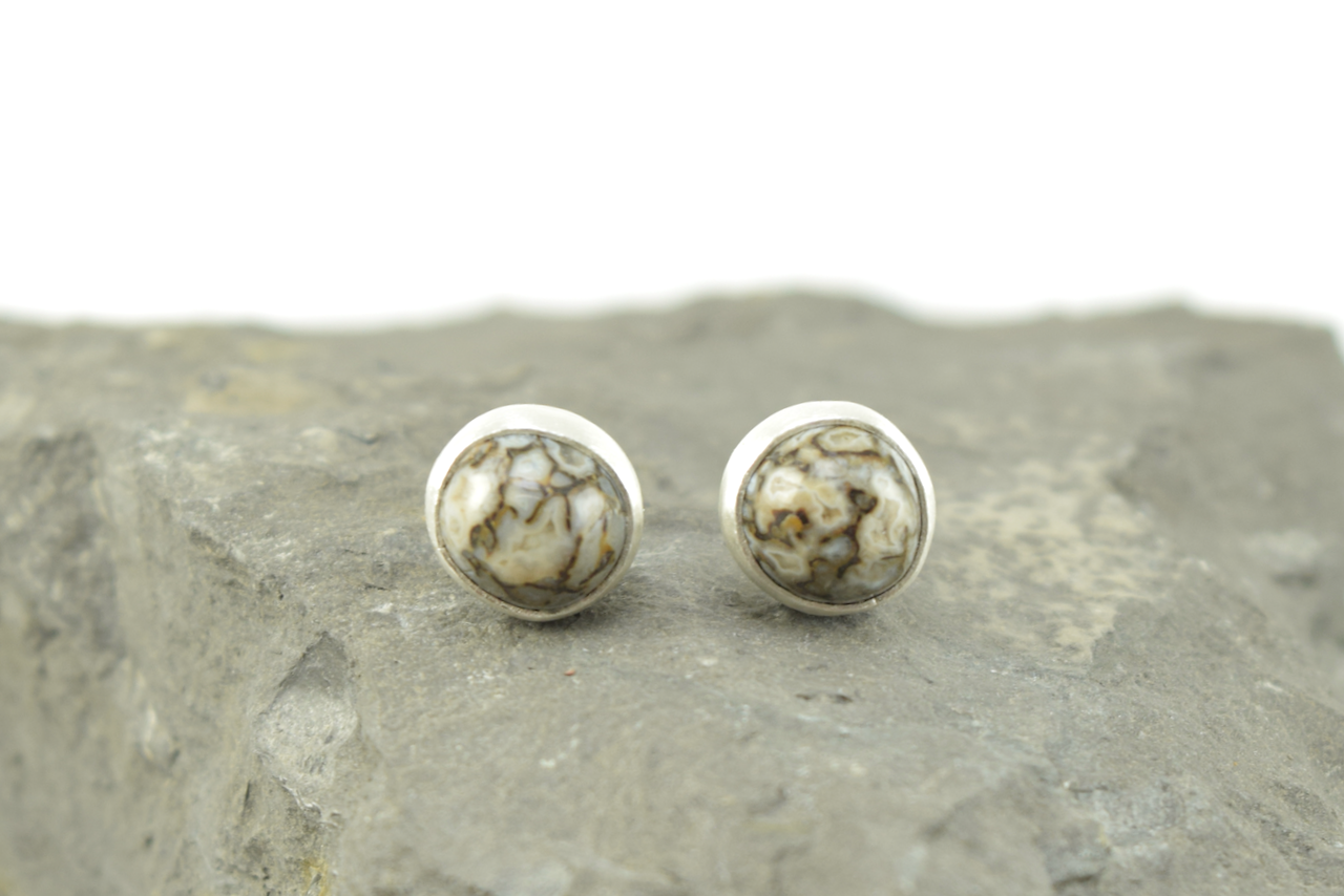 Dinosaur Bone Studs 2026 - I (4).png