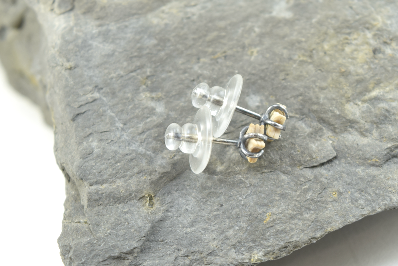 Light Crinoid Star Earrings June 2026 (3).png