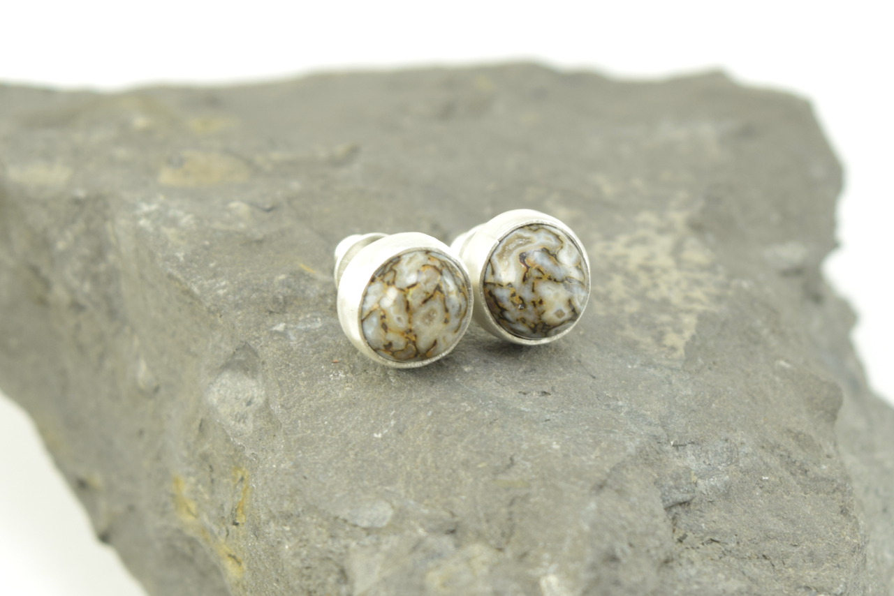 Dinosaur Bone Studs 2026 - II.png