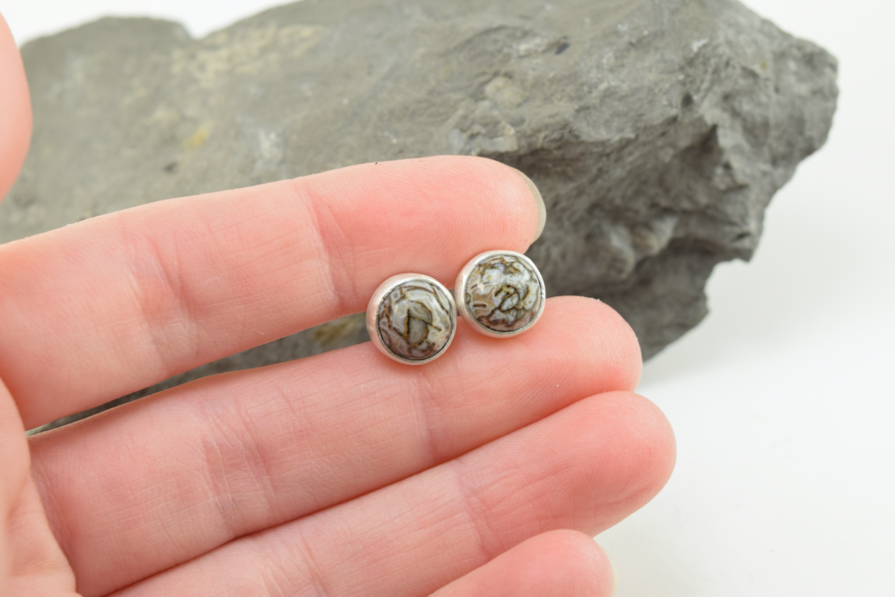 Dinosaur Bone Studs 2026 - III (6).png