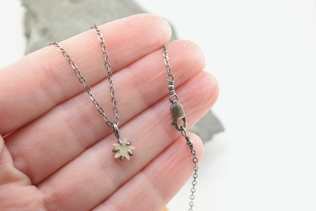 Light Star Crinoid Necklaces June 2026 (3).png