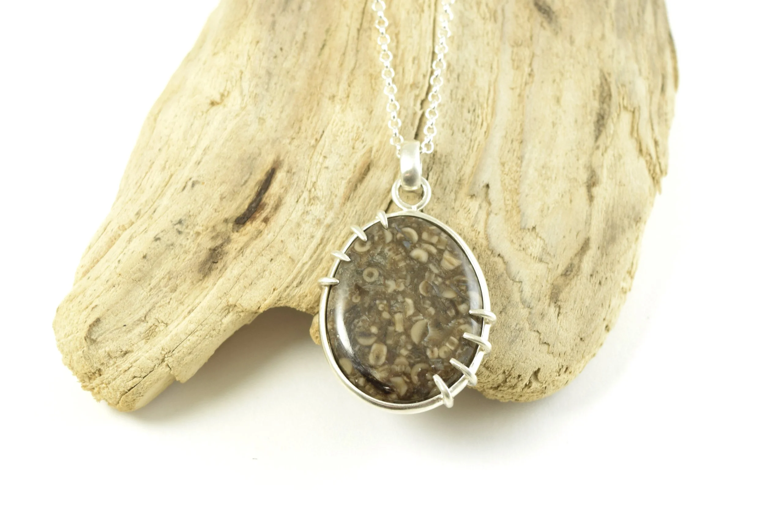Fossil Soup Necklace (1).jpeg