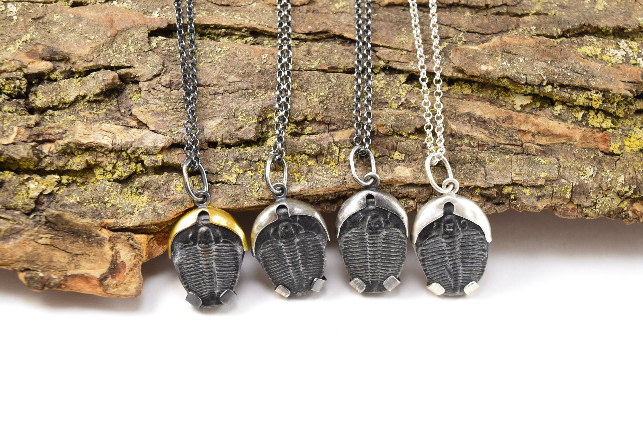 Trilobite Necklace Group.jpeg