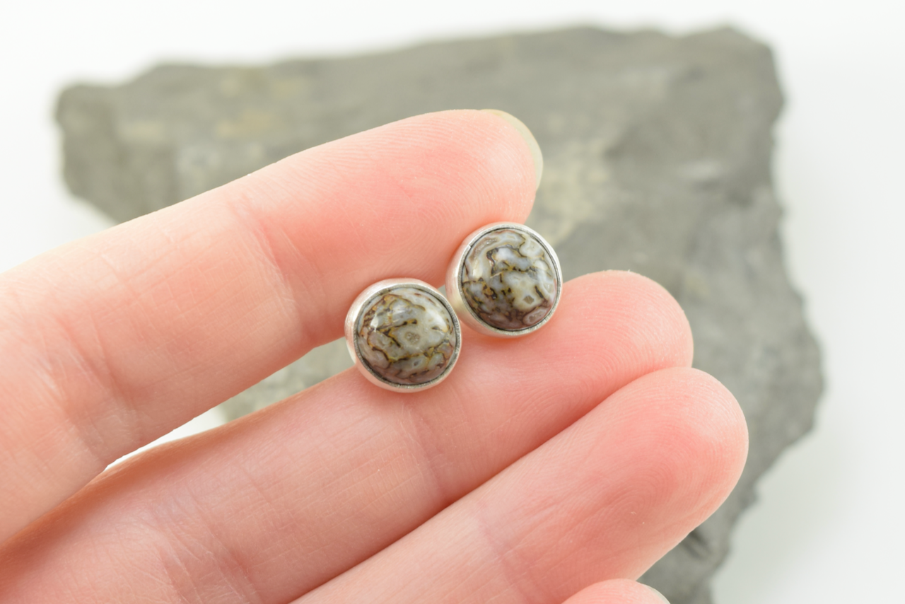 Dinosaur Bone Studs 2026 - II (4).png