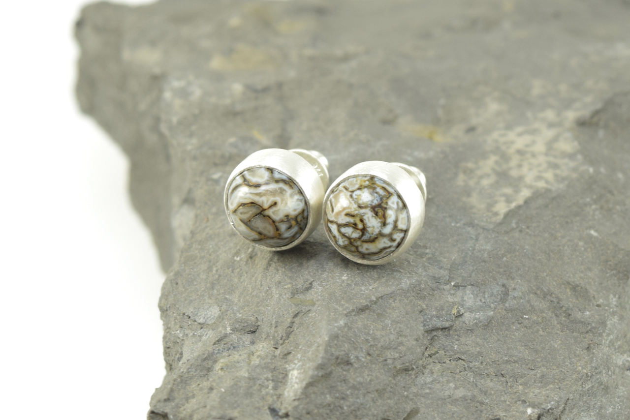 Dinosaur Bone Studs 2026 - III (3).png