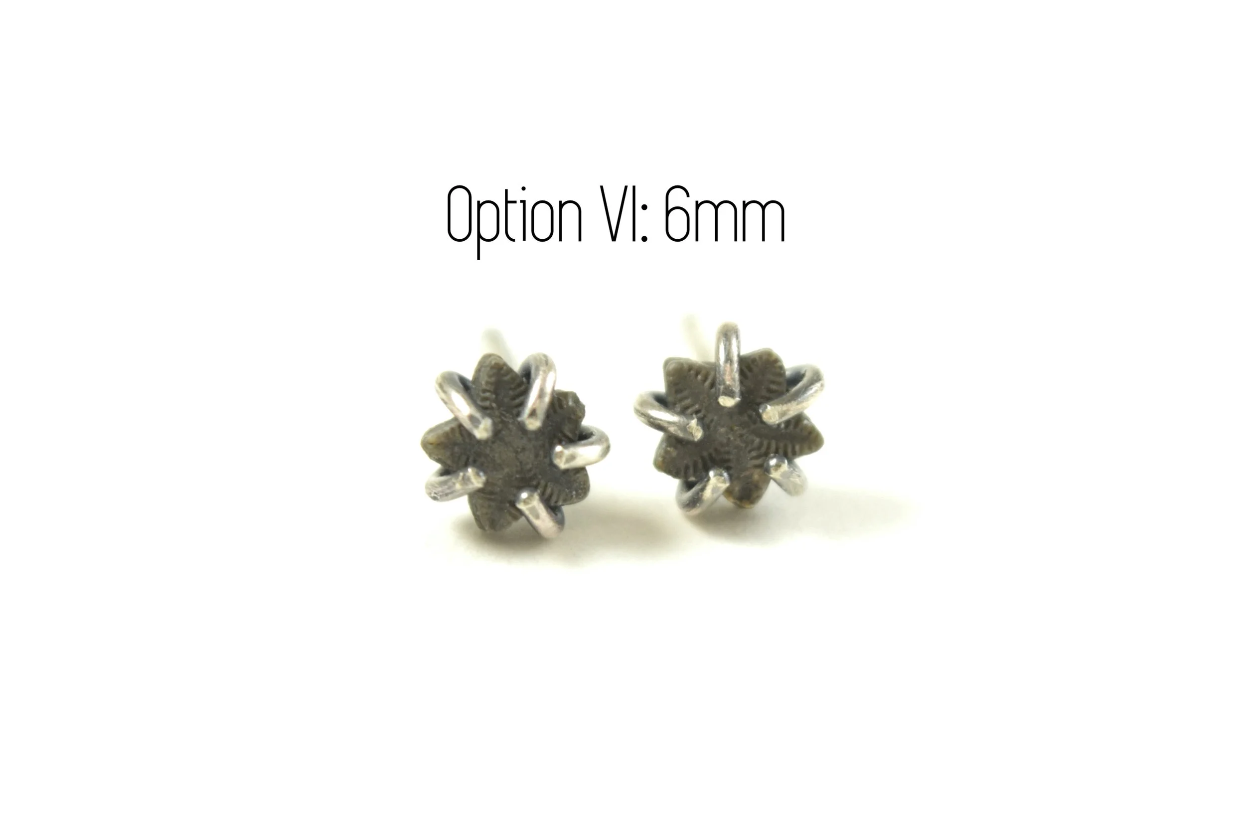 Crinoid Star Fossil Earrings 9-25 VI.jpeg