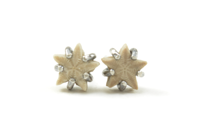 Light+Crinoid+Star+Earrings+June+2026+I+copy.png