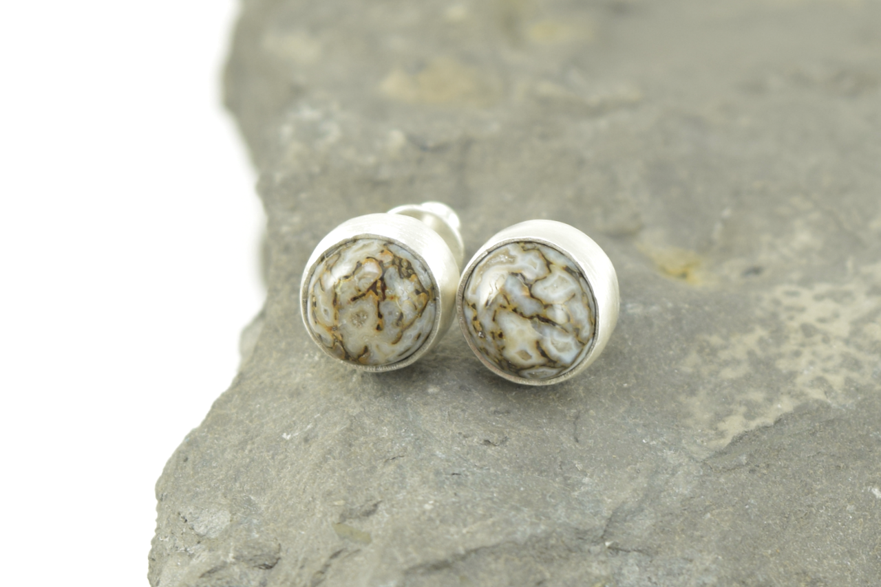 Dinosaur Bone Studs 2026 - II (6).png