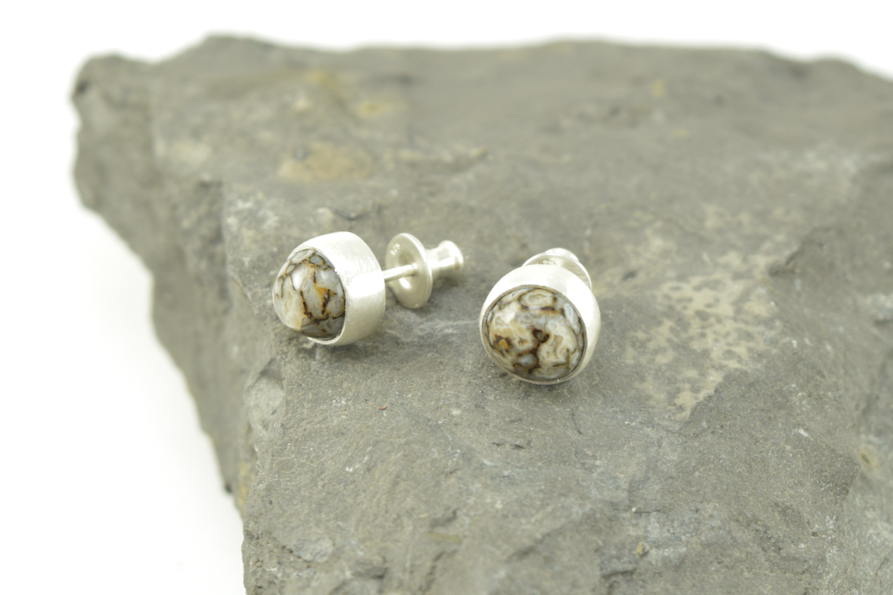 Dinosaur Bone Studs 2026 - I.png