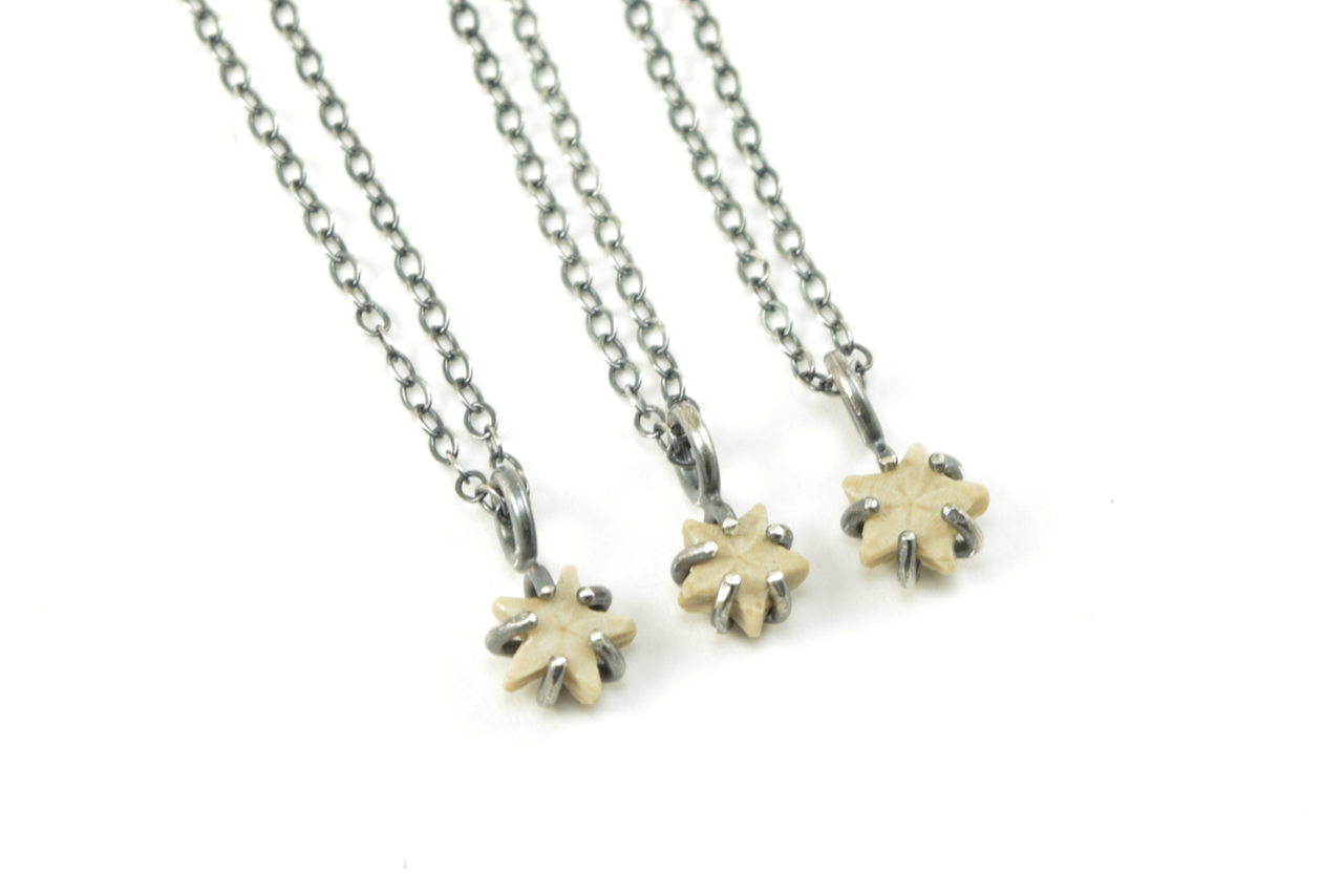 Light Star Crinoid Necklaces June 2026 copy.png