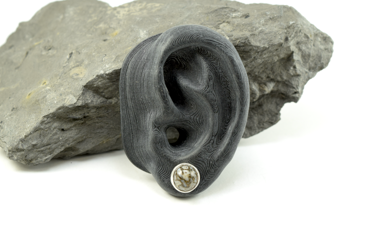 Dinosaur Bone Studs 2026 - II (2).png