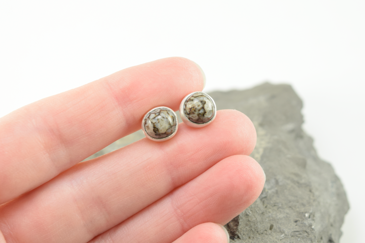 Dinosaur Bone Studs 2026 - I (7).png