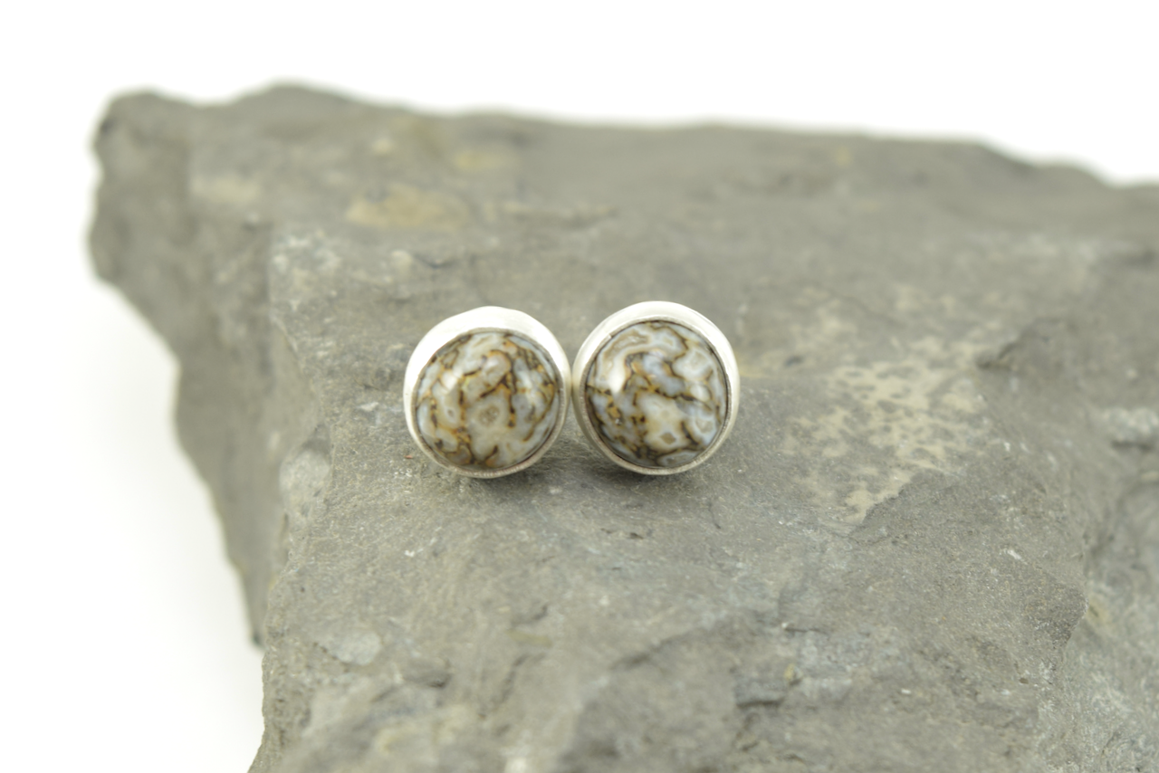 Dinosaur Bone Studs 2026 - II (1).png