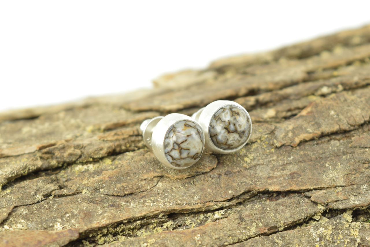 Dinosaur Bone Studs 2026 - I (8).png