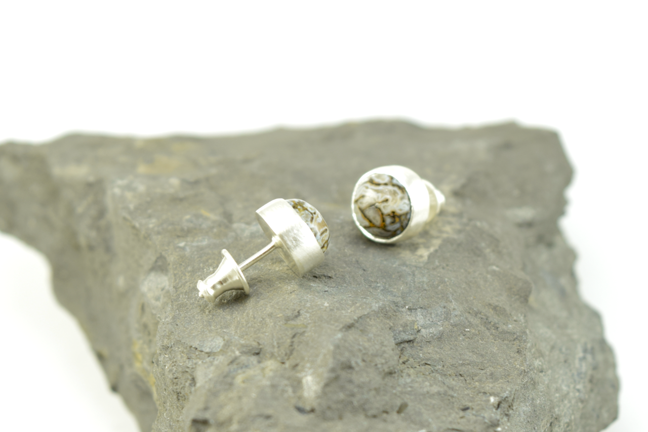 Dinosaur Bone Studs 2026 - III (7).png