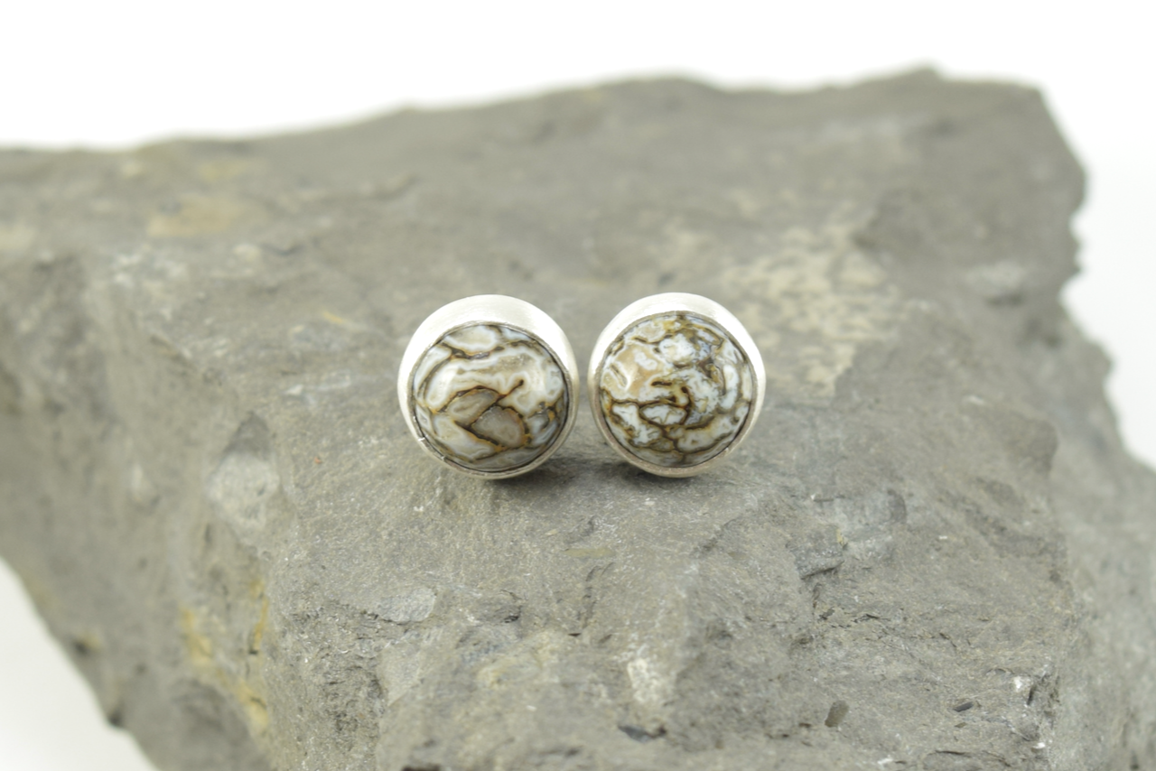Dinosaur Bone Studs 2026 - III.png