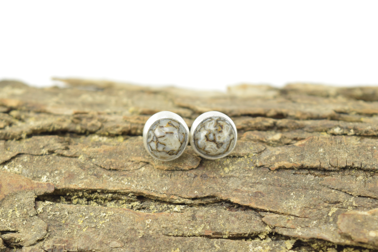 Dinosaur Bone Studs 2026 - I (3).png