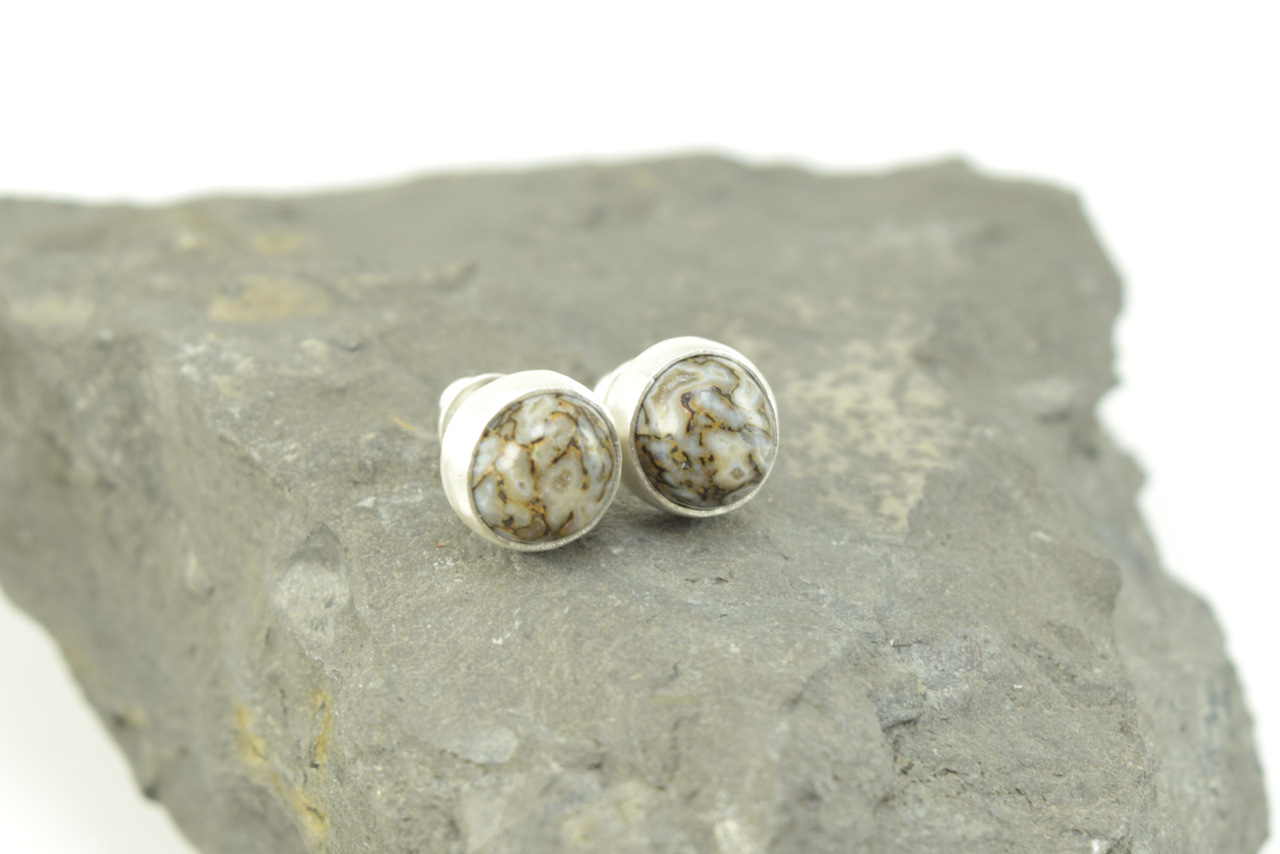 Dinosaur Bone Studs 2026 - II (7).png