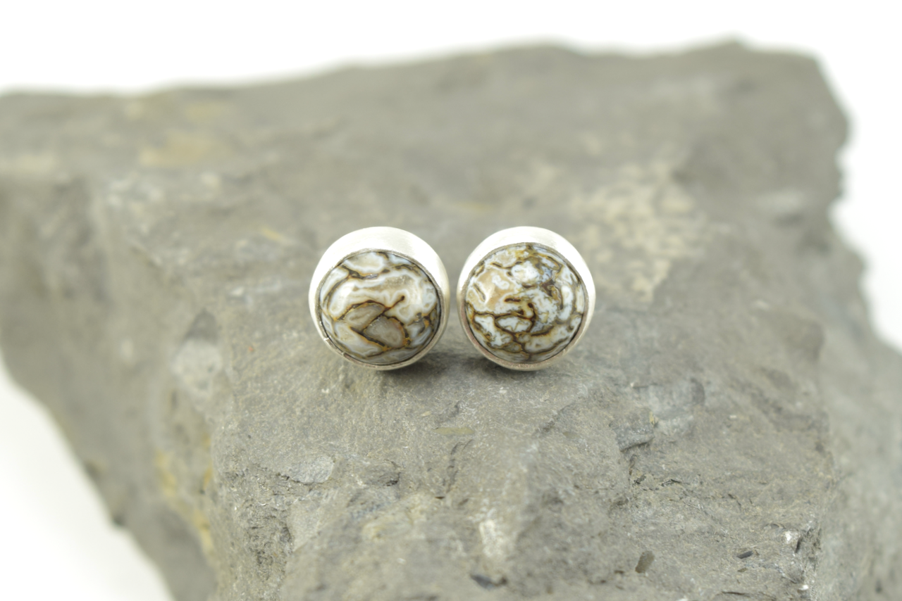 Dinosaur Bone Studs 2026 - III (5).png