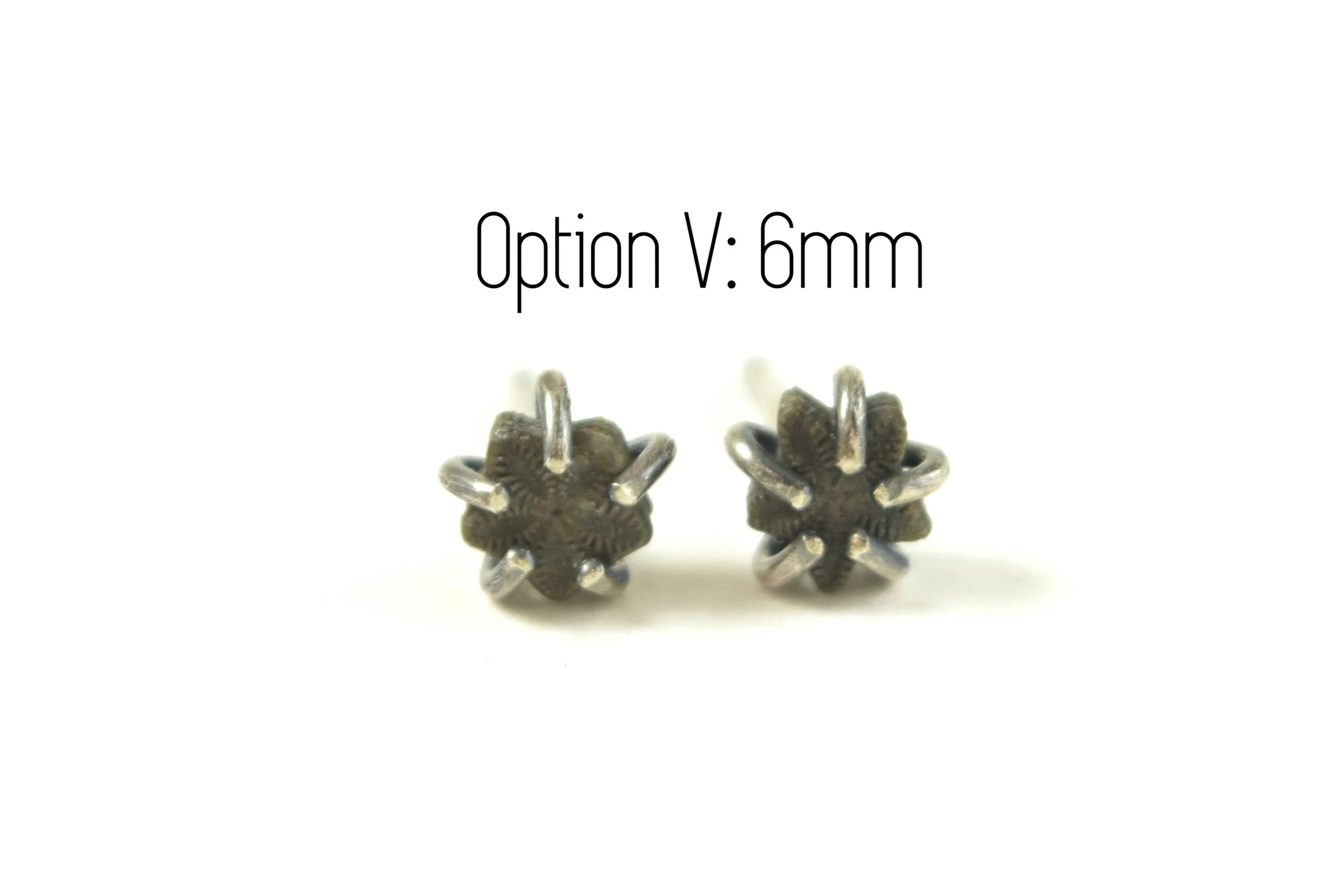 Crinoid Star Fossil Earrings 9-25 V.jpeg