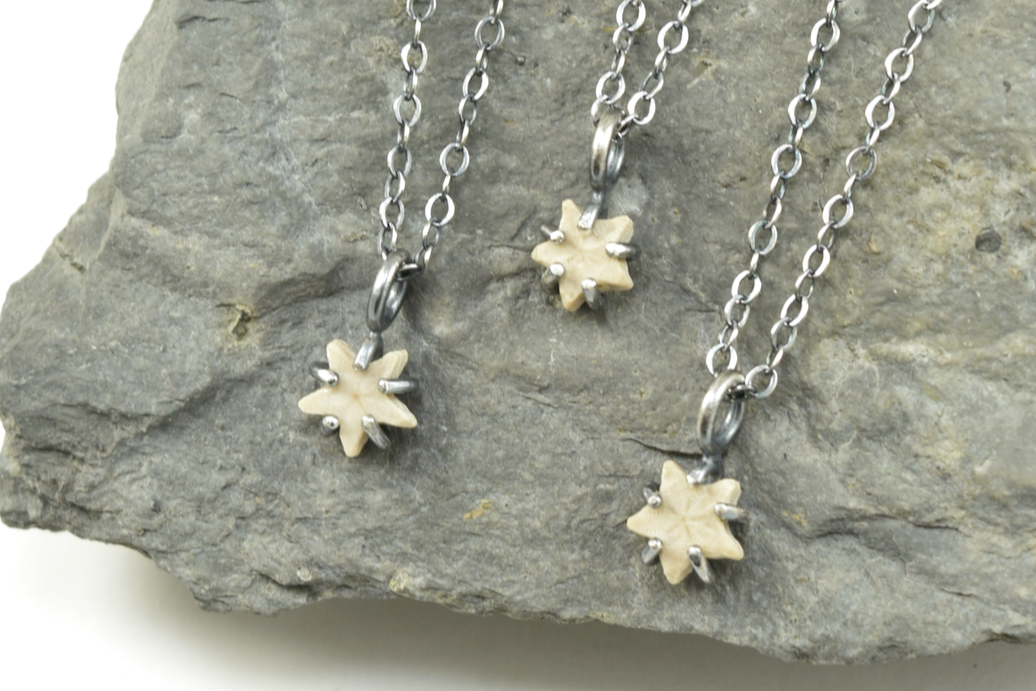 Light+Star+Crinoid+Necklaces+June+2026+%281%29.png