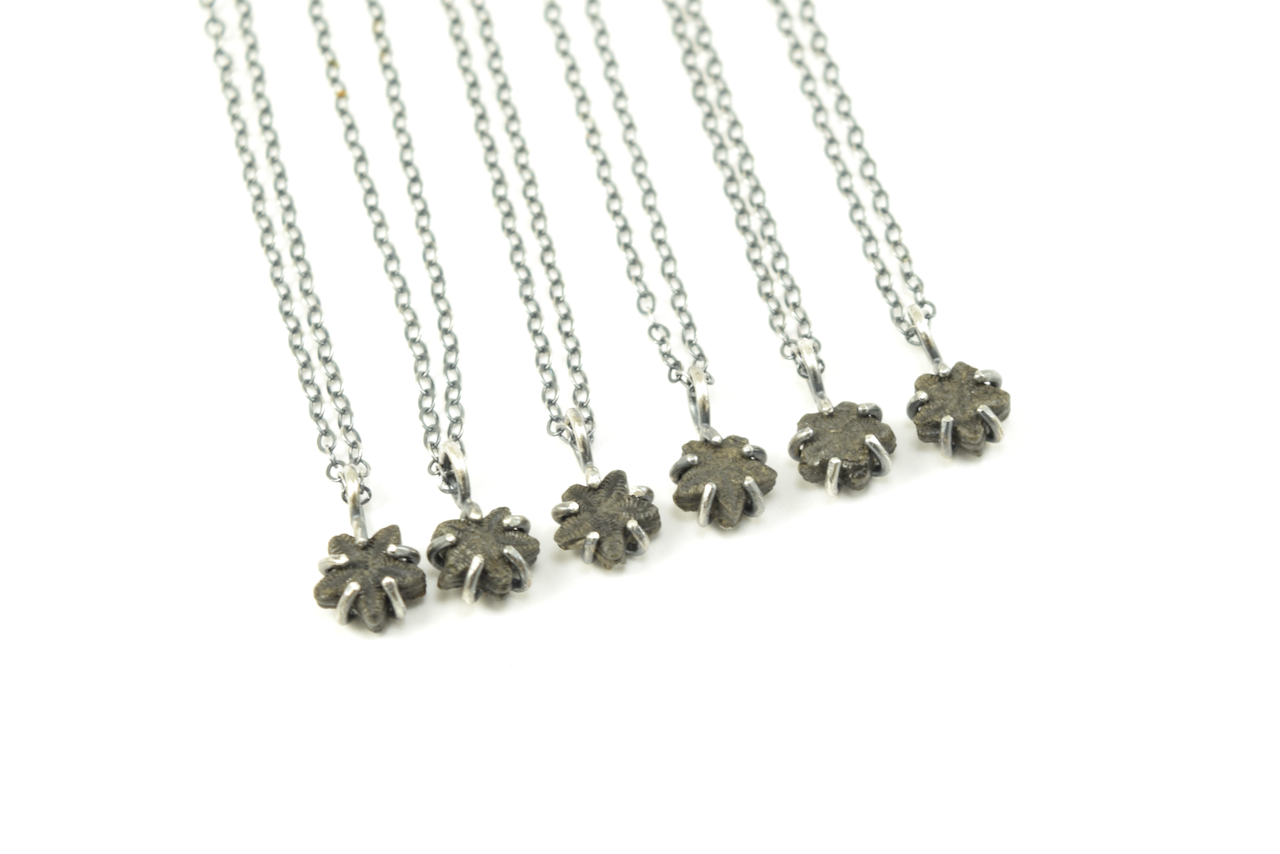Black Crinoid Star Necklaces June 2026.png
