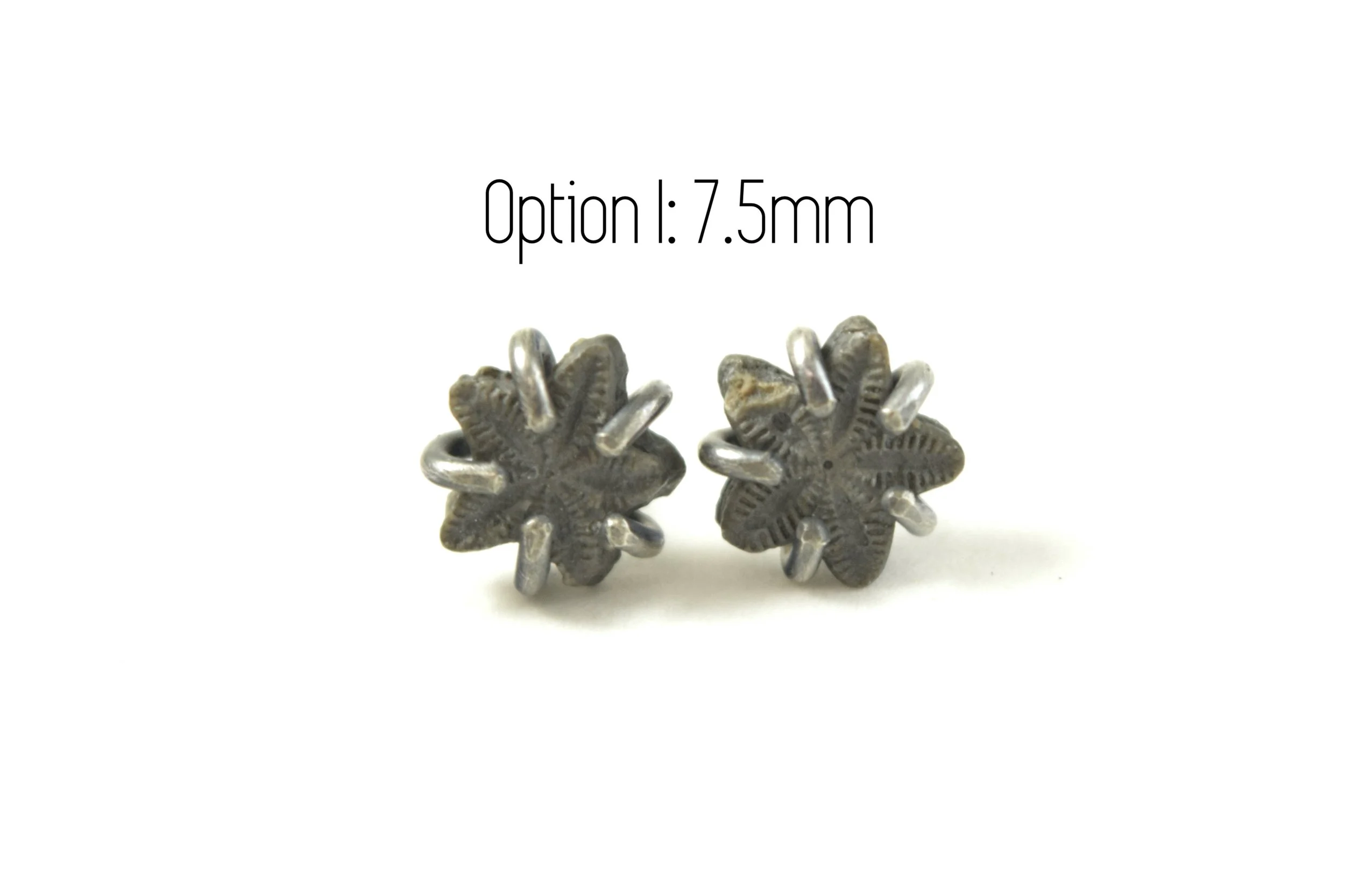 Crinoid Star Fossil Earrings 9-25 I.jpeg