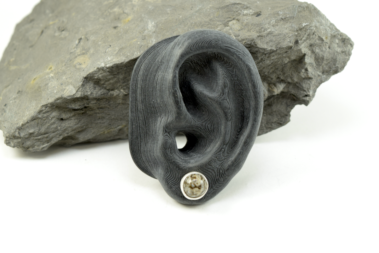 Dinosaur Bone Studs 2026 - I (5).png