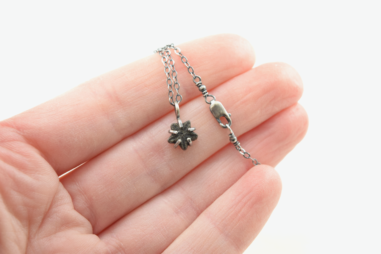 Black Crinoid Star Necklaces June 2026 (2).png