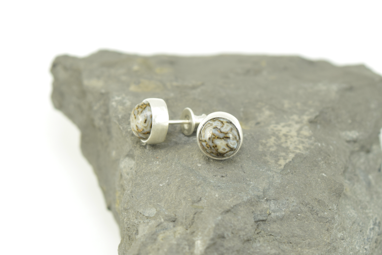 Dinosaur Bone Studs 2026 - II (5).png