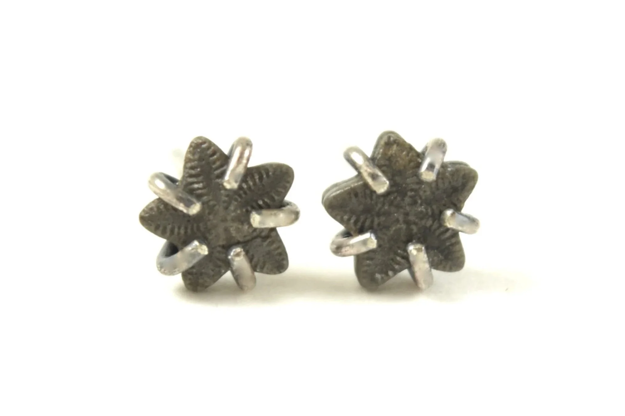 Crinoid+Star+Fossil+Earrings+9-25+IV+copy.jpg