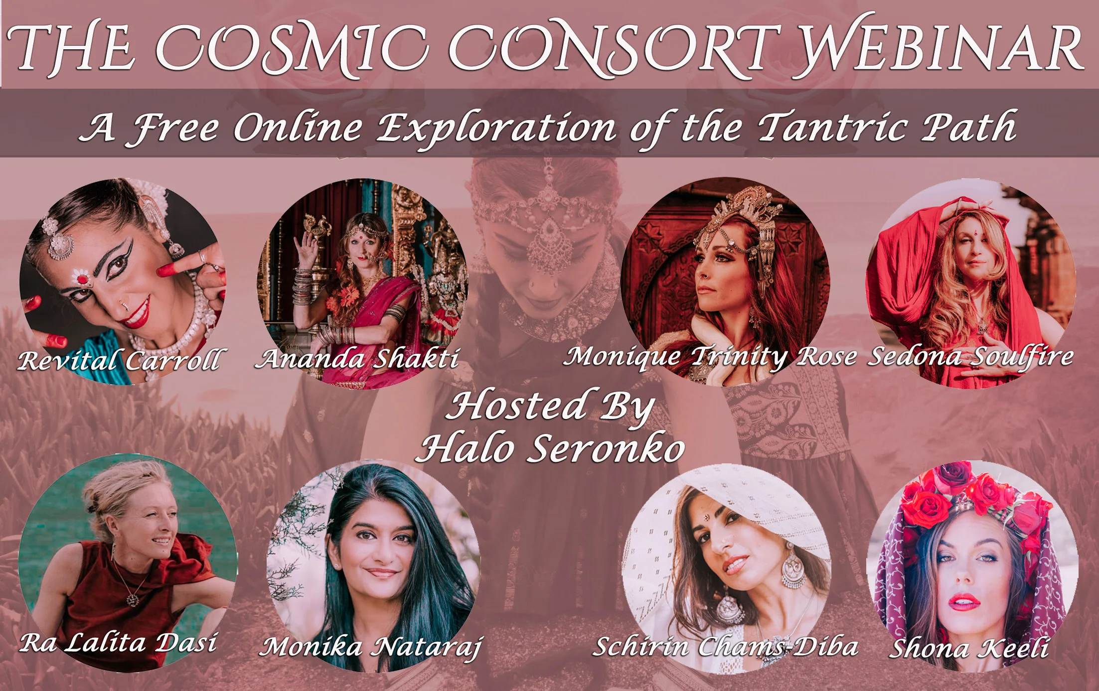 Webinar+Promo+copy.jpg