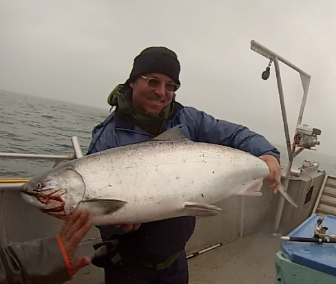 Devon King salmon.png