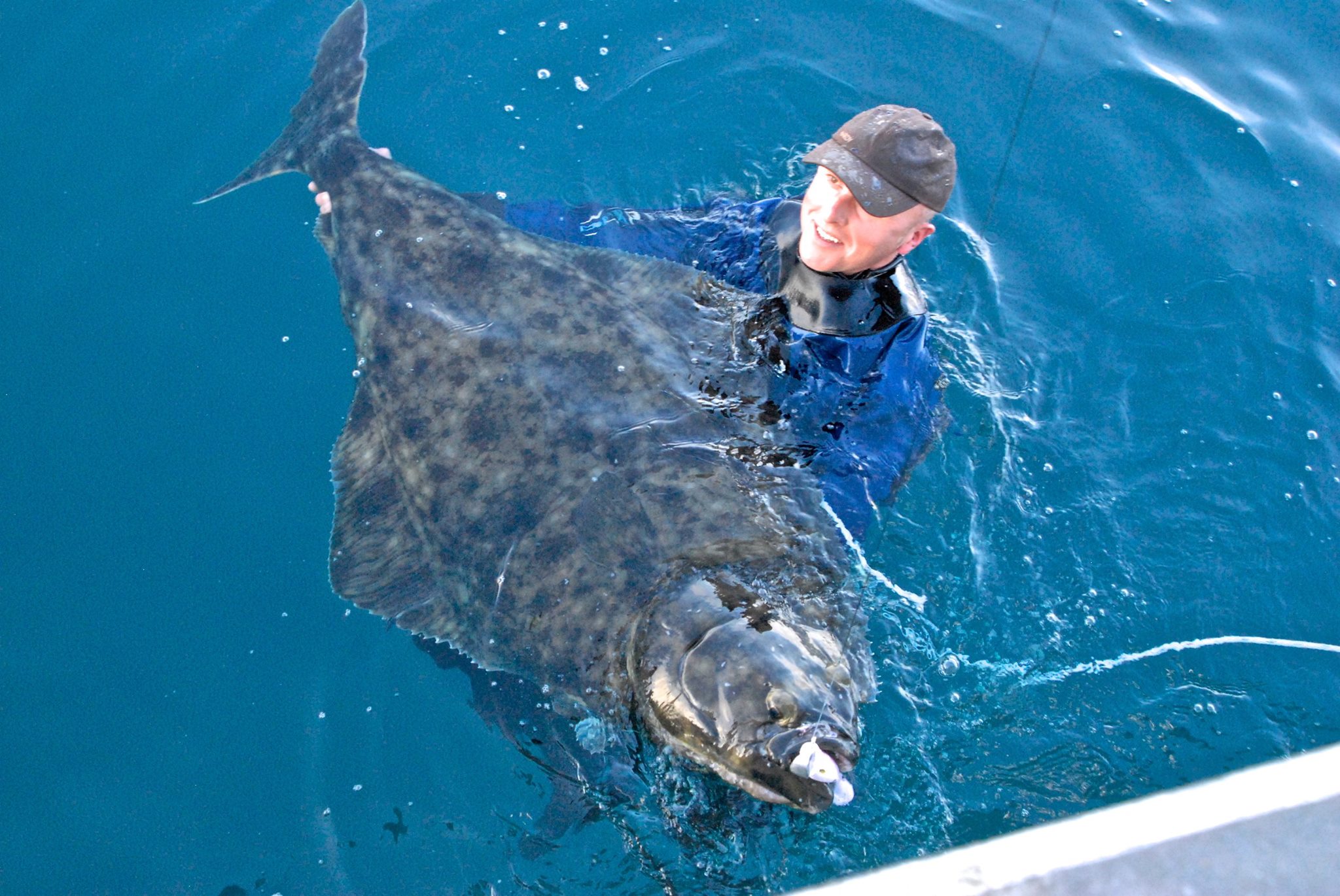 Swim with Halibut.jpg