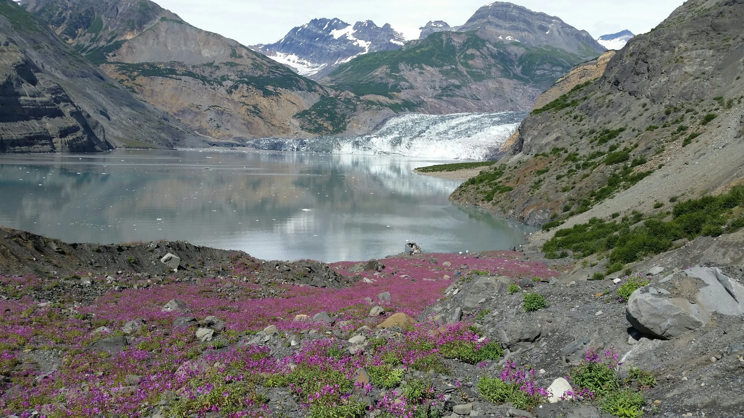 20150731_132918_resized.jpg