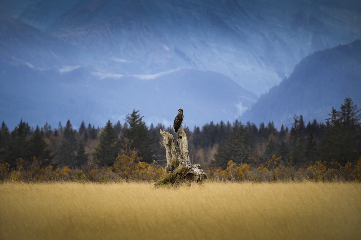Eagle mtn backdrop.jpg