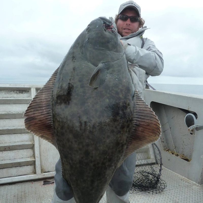 Marc Towers Lg Halibut.jpg