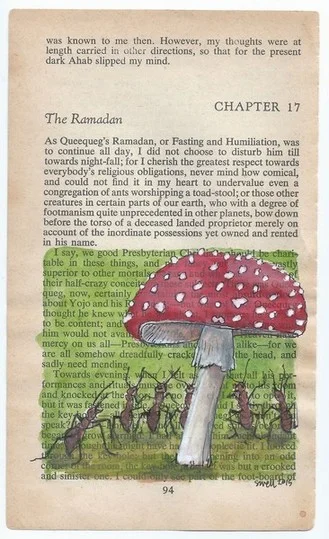 100daysonmobydick091.jpg