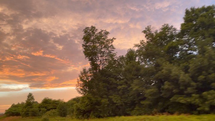 Left Green Bay in the rain. Heavy rain. Lightning. Passed through the storm, through mist, into this incredible sunset along Highway 29 west. Swipe through to see the progression of pinks.
#adventuresinbliss #helenofjoy #wisconsin #sconnie #light #fa
