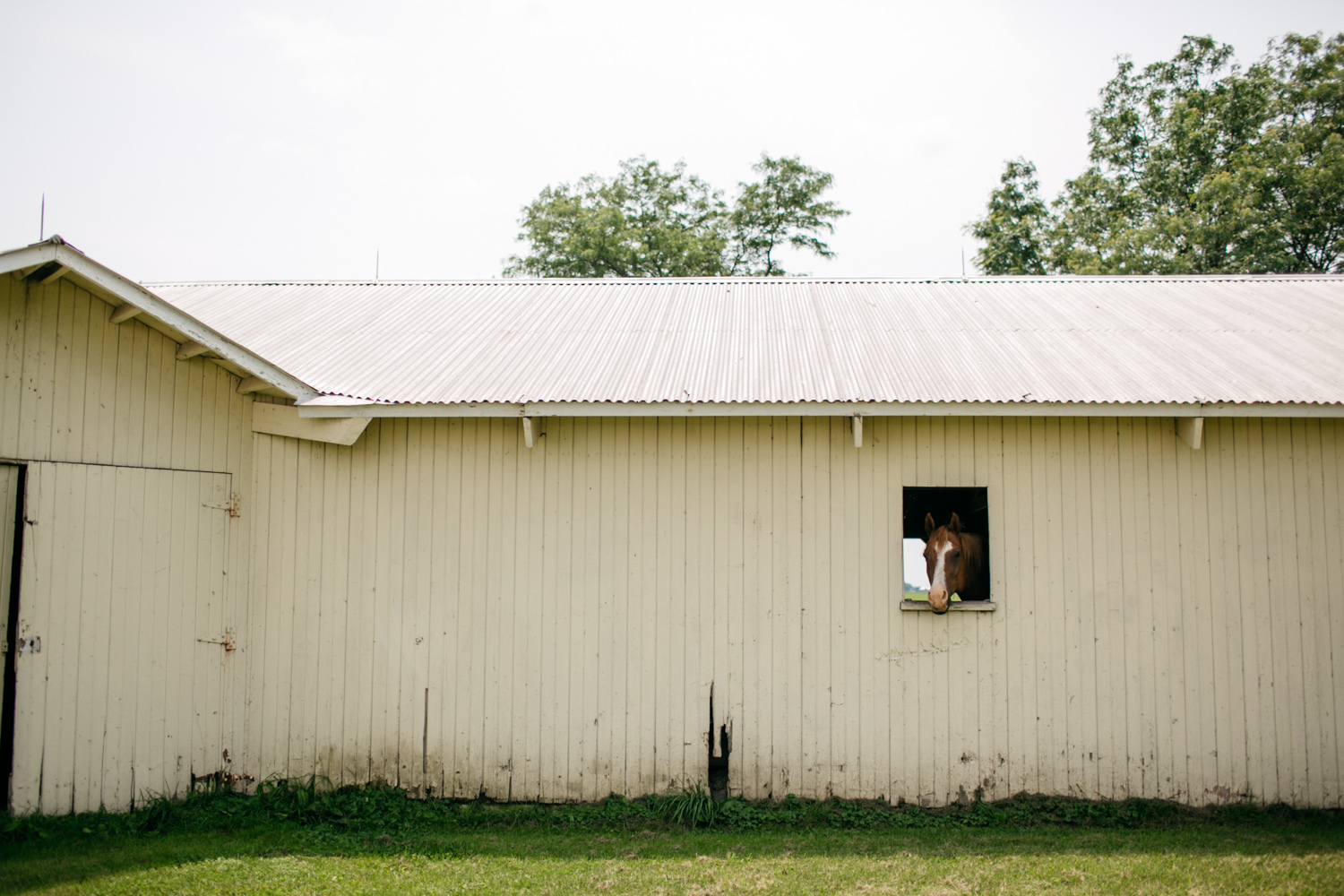 Grain&Compass_RobinLukeWeddingBlog-21.jpg