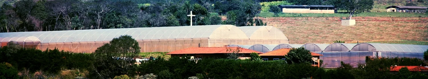 ESTUFA OK 2.jpg