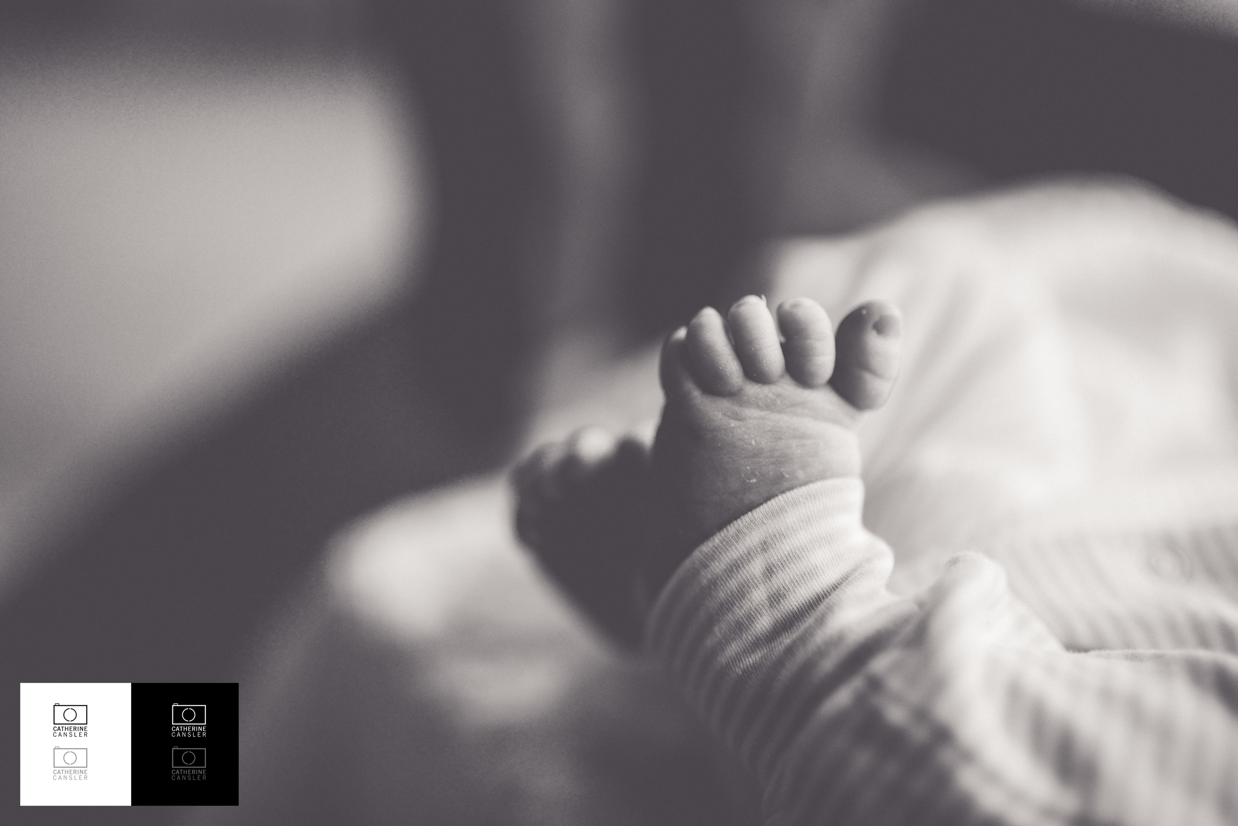 Hans Winkler | North Georgia New Born Photographer