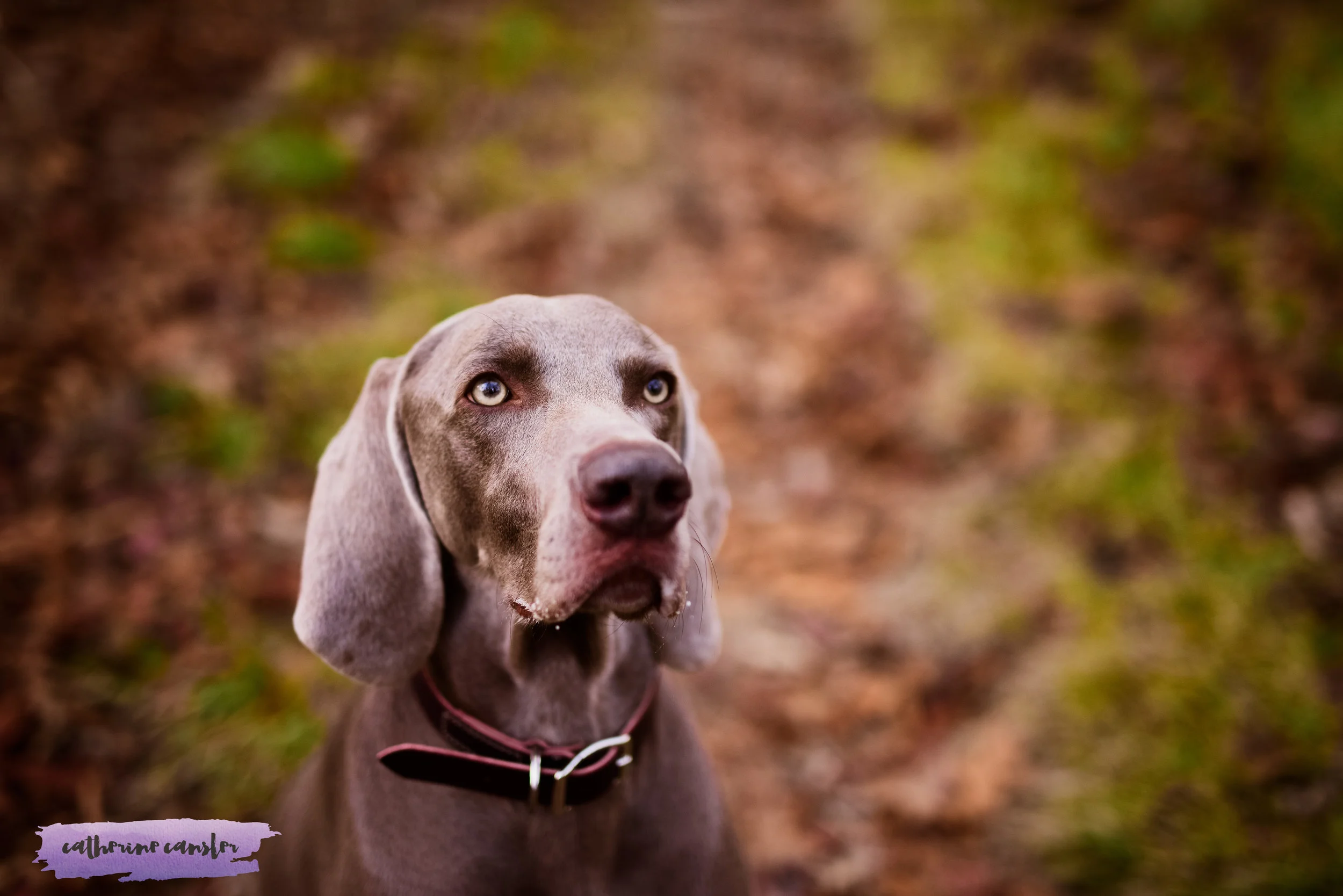 DSC_2321.jpg