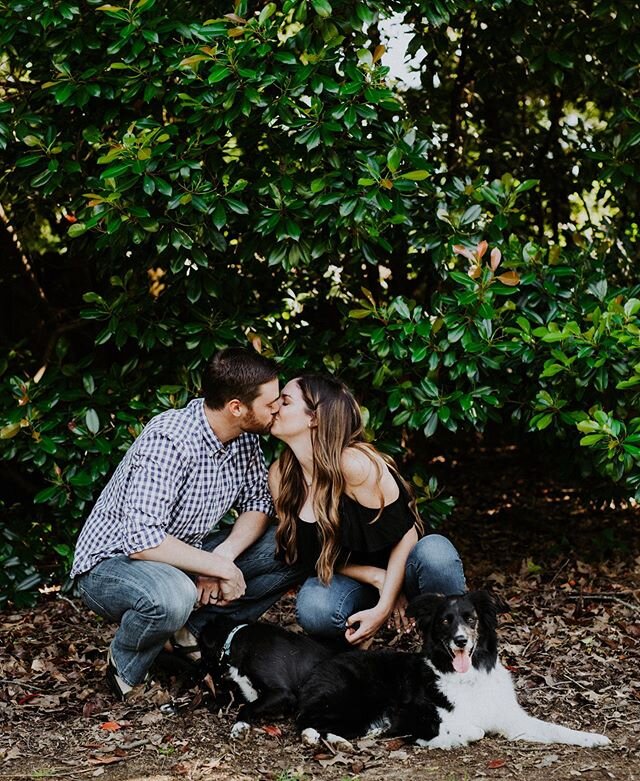 From engagement to wedding to family pics, we have been along for the journey and it makes me so happy!! 😍 Especially loved meeting the new 🐶 baby! 🎉