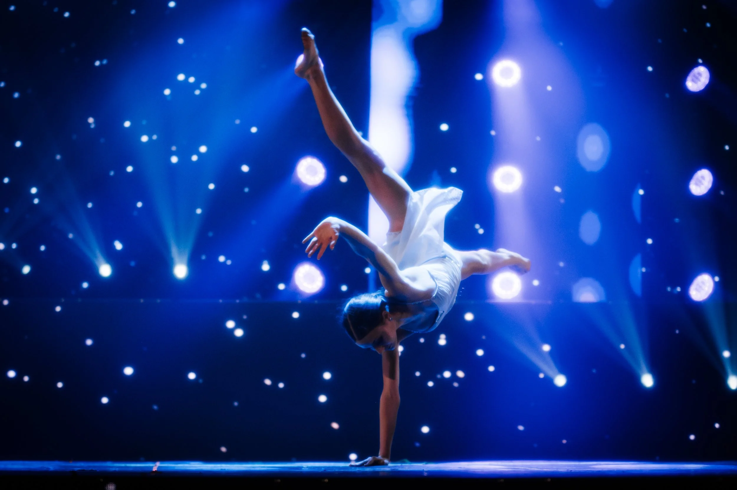 ElementShowcase2025-3950.jpg