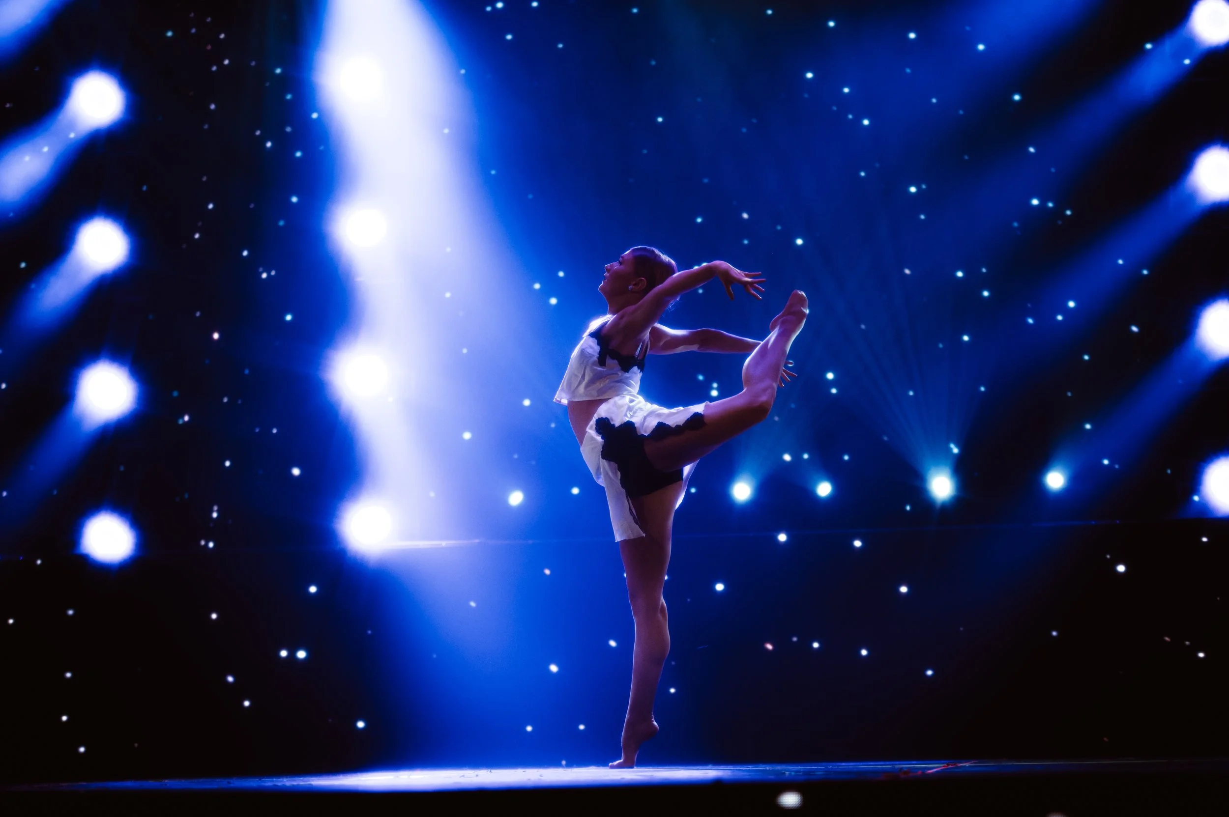 ElementShowcase2025-6424.jpg