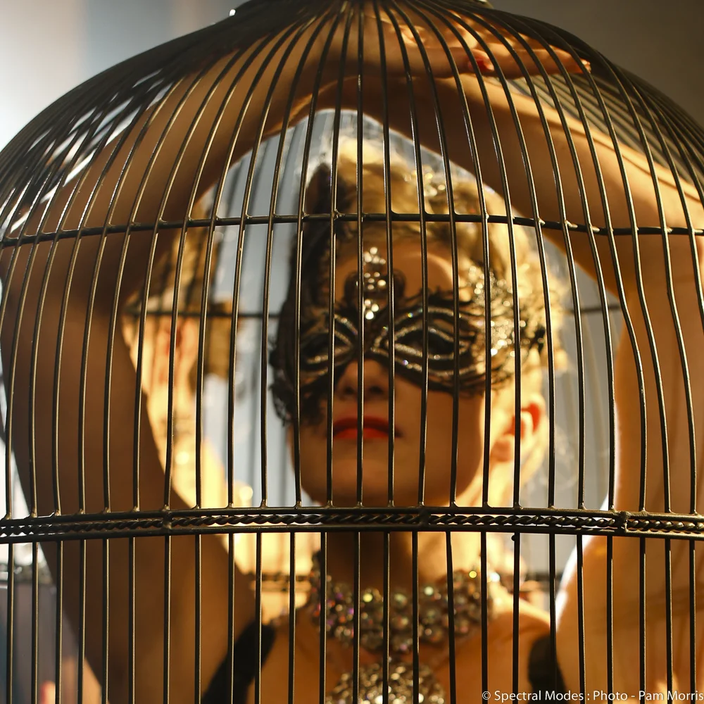 Birdcage