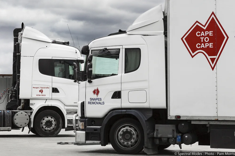 Case Study - Experient and SNAPES 